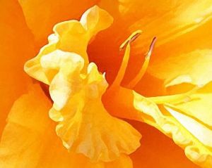 4eff8a422dfd83404a2a7cd1e7c490c2