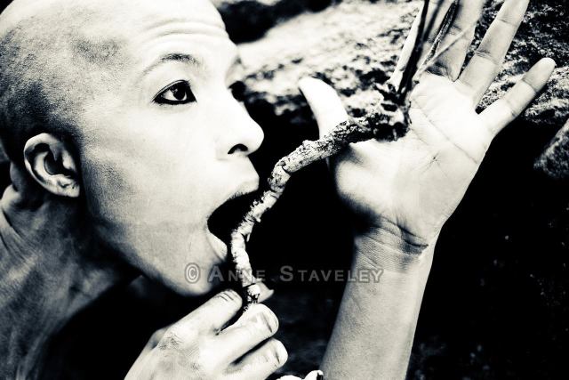 12085159_10207912377991173_1378261670_o