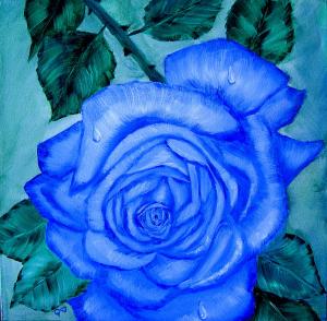 blue-rose-quwatha-valentine
