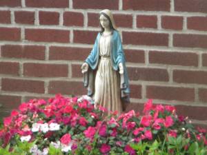 11703359_948987068488218_85568968427725313_n