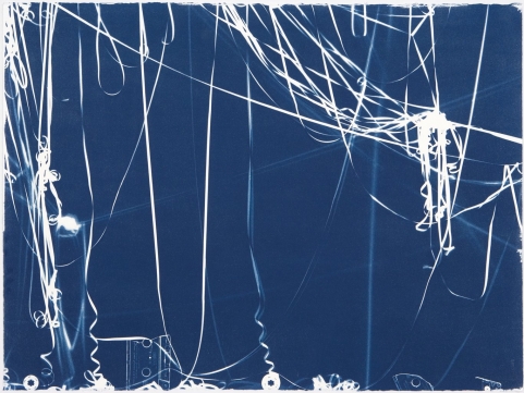 cyanotype 7