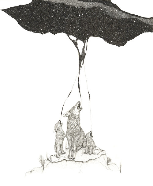 yokoyama-coyote-night-sky-2