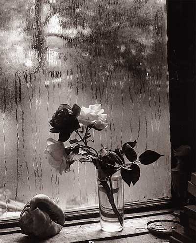 sudek, last roses
